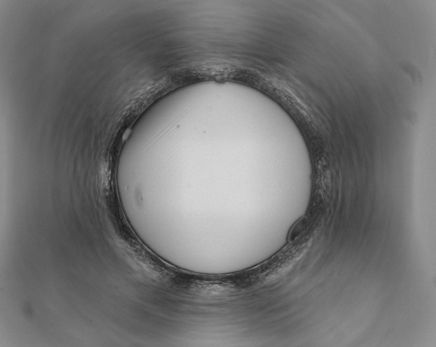 X0000112060597200908251022