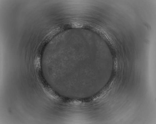 X0000112060598200908251022