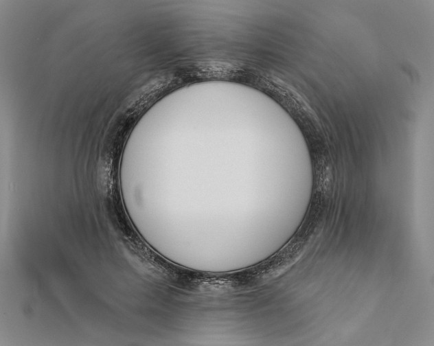 X0000112060599200908251022