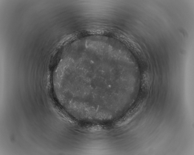 X0000112060600200908251022