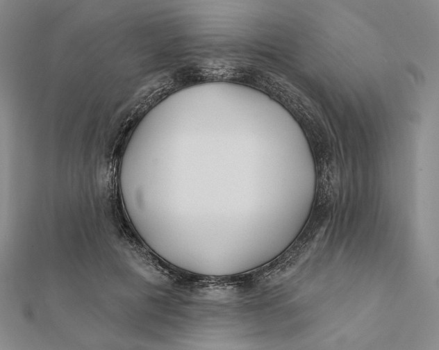 X0000112060601200908251022