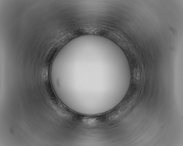 X0000112060602200908251022