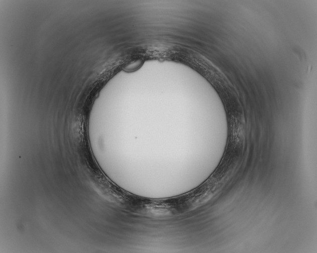 X0000112060603200908251022