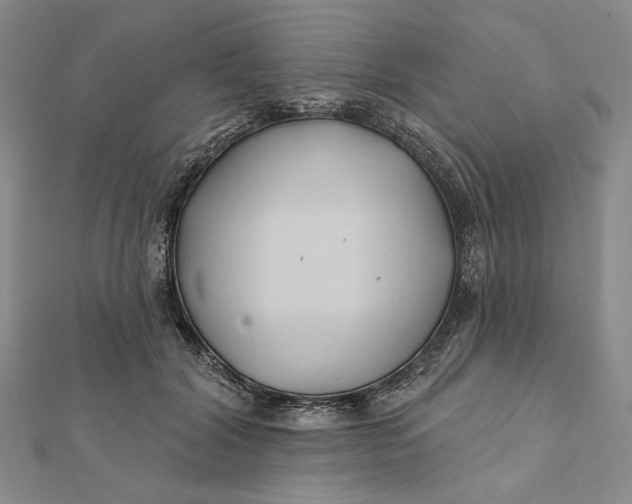 X0000112060604200908251022