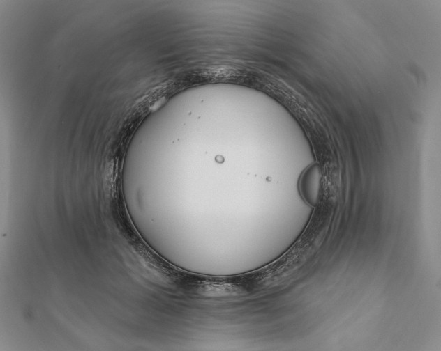 X0000112060605200908251022