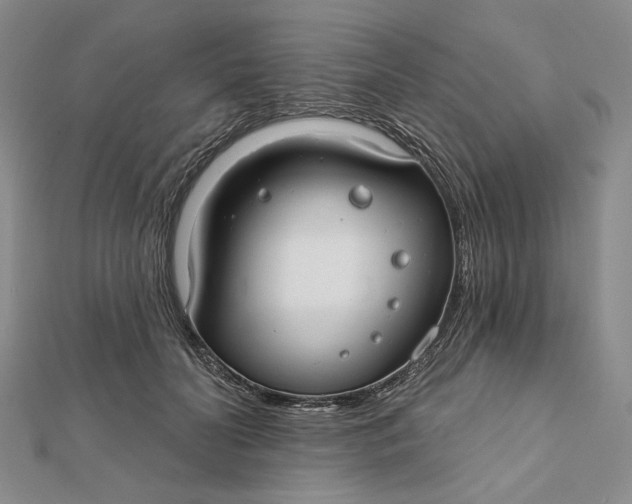 X0000112060606200908251022