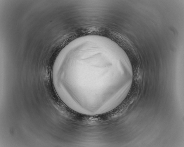 X0000112060607200908251022