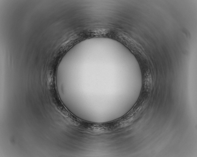 X0000112060608200908251022