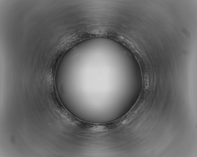 X0000112060609200908251022