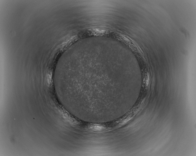 X0000112060610200908251022