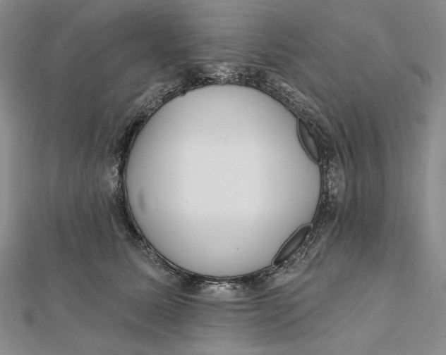 X0000112060611200908251022