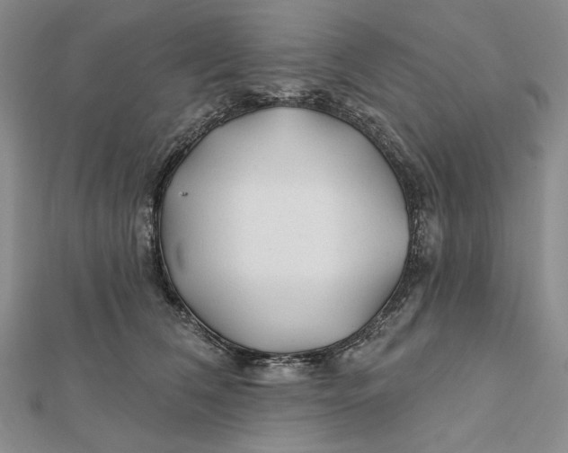 X0000112060612200908251022