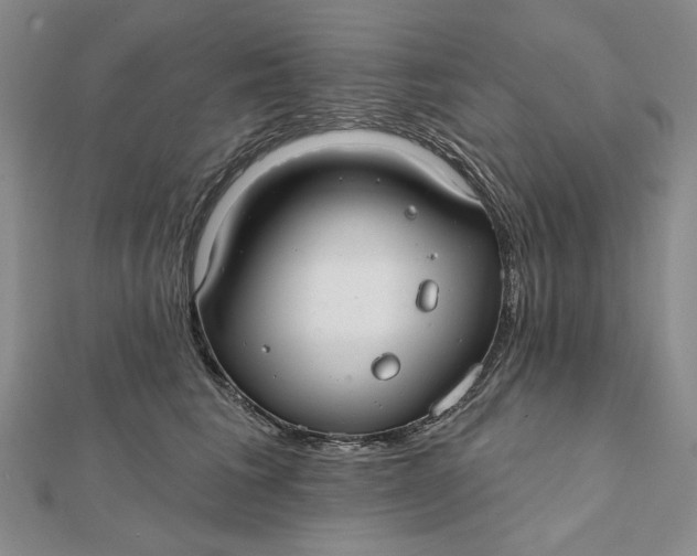 X0000112060613200908251022