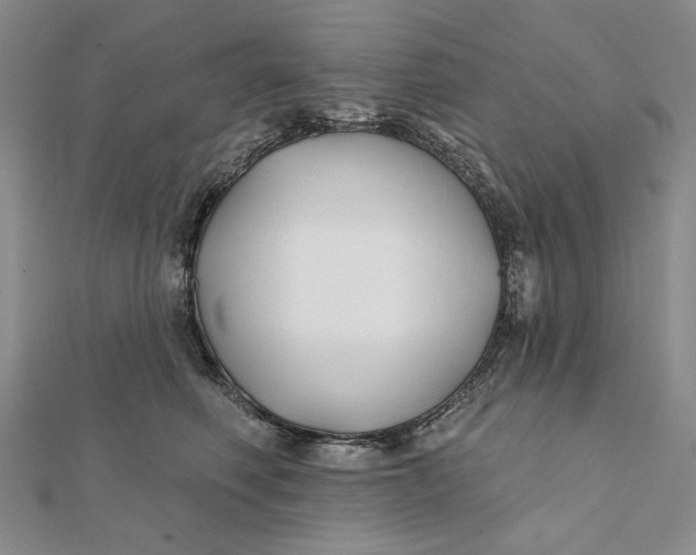 X0000112060614200908251022