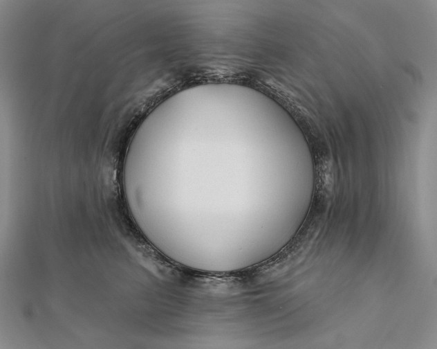 X0000112060615200908251022