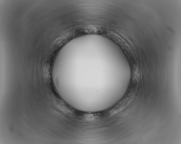 X0000112060616200908251022