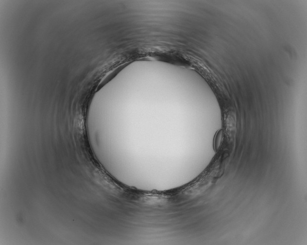 X0000112060617200908251022