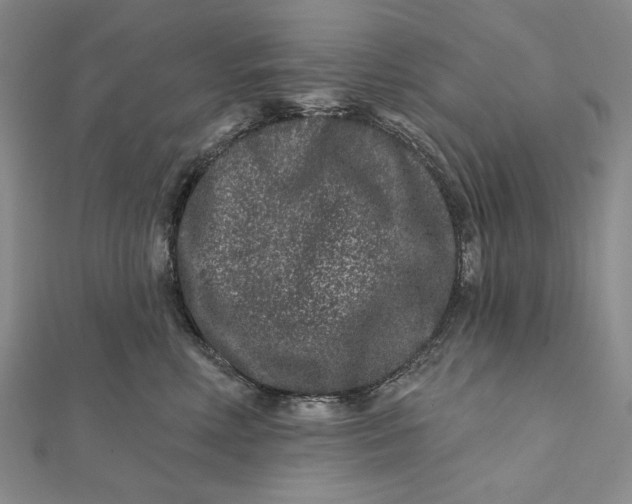 X0000112060618200908251022