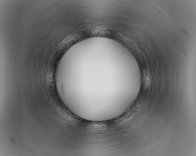 X0000112060619200908251022