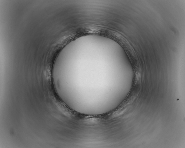 X0000112060620200908251022