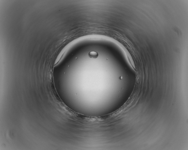 X0000112060621200908251022