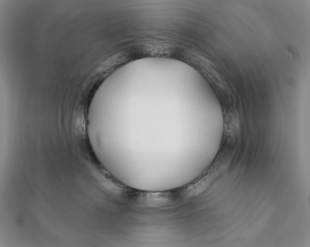 X0000112060622200908251022