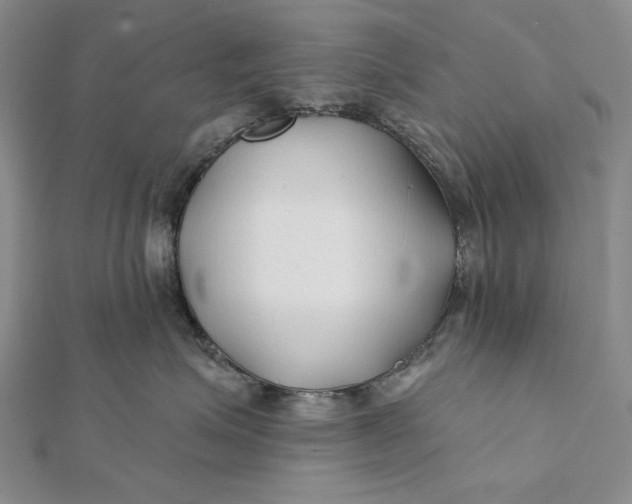 X0000112060623200908251022