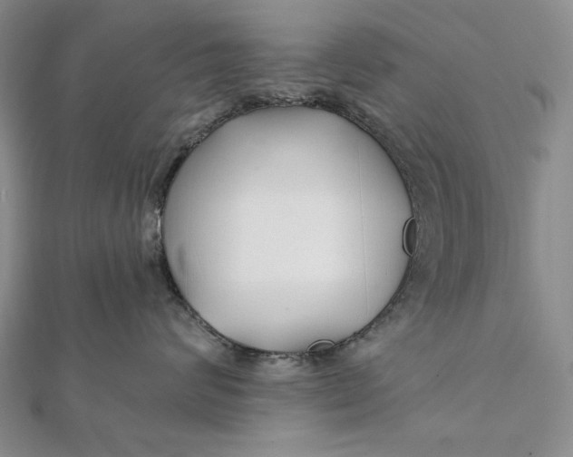 X0000112060624200908251022