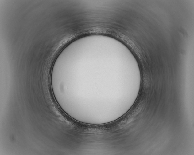 X0000112060625200908251021