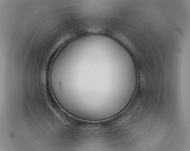 X0000112060626200908251021