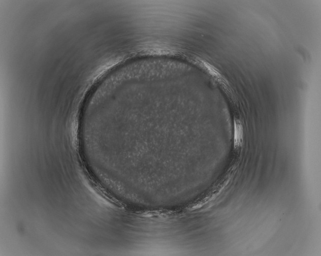 X0000112060627200908251021