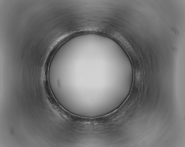 X0000112060628200908251021