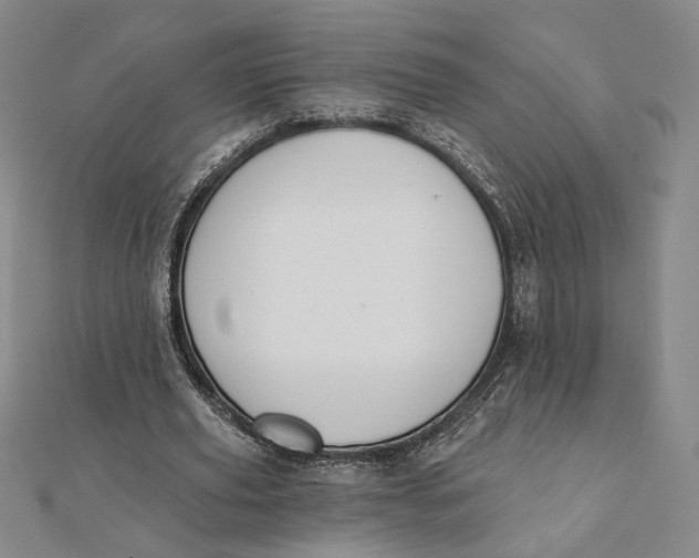 X0000112060629200908251021