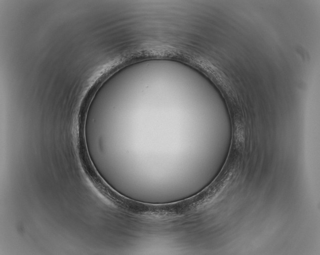 X0000112060630200908251021