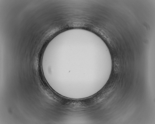 X0000112060631200908251021