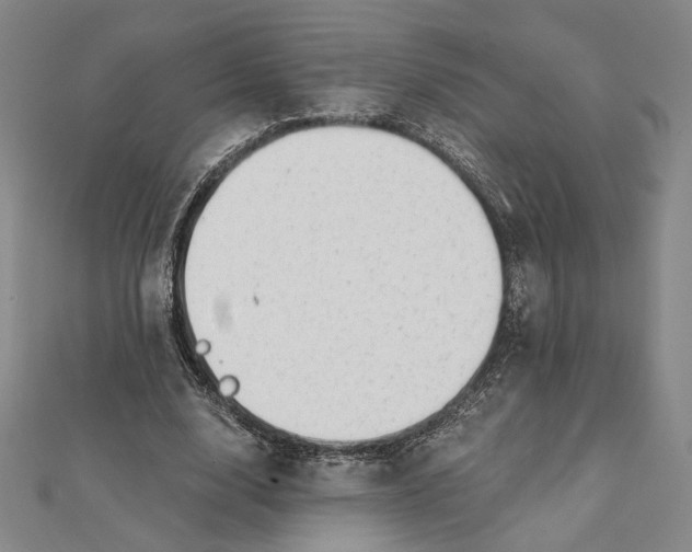 X0000112060632200908251021