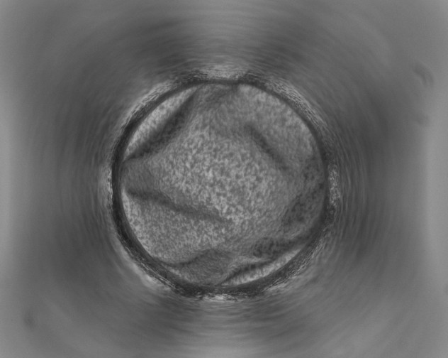 X0000112060634200908251021