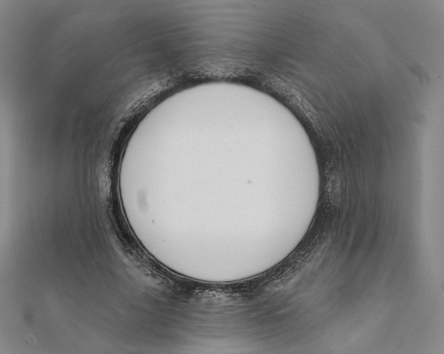 X0000112060635200908251021