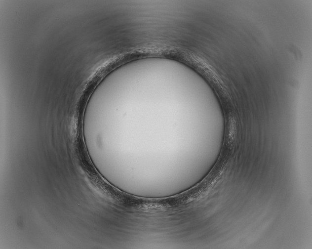 X0000112060636200908251021