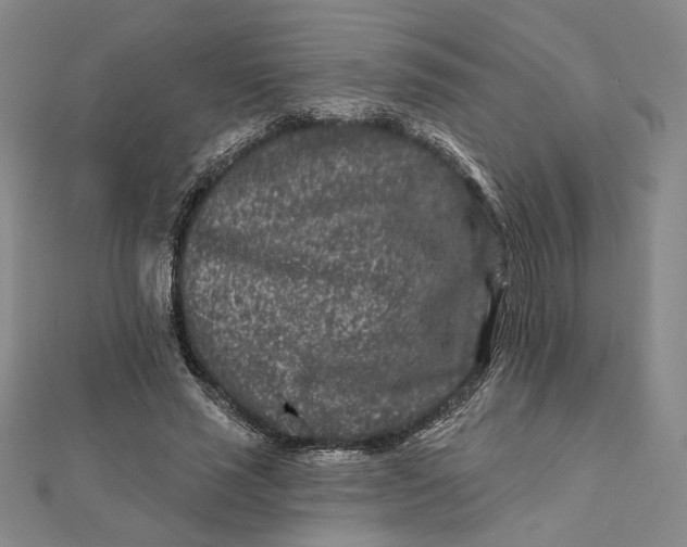 X0000112060637200908251021