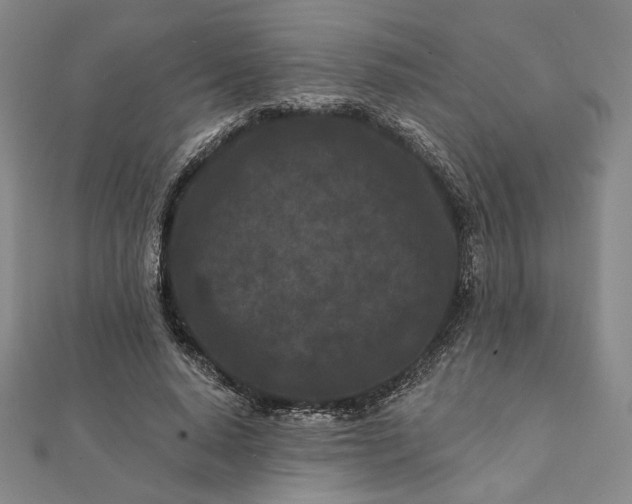 X0000112060640200908251022