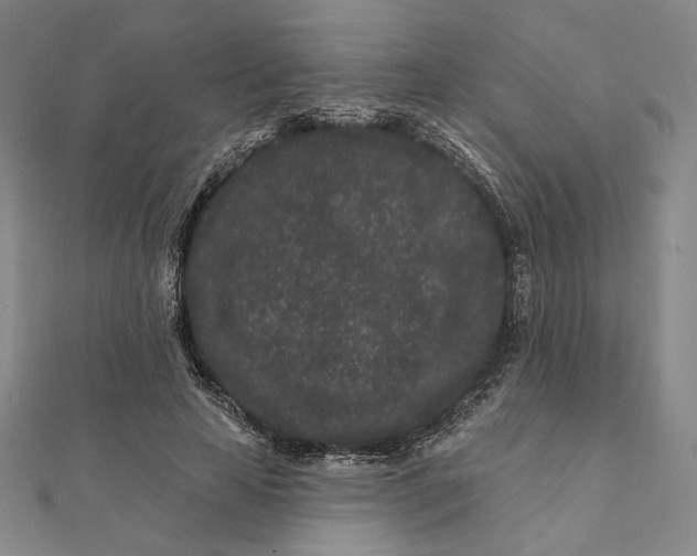 X0000112060641200908251022