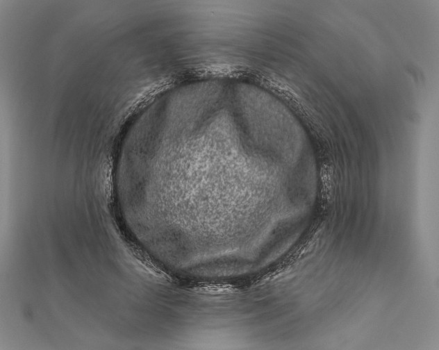 X0000112060642200908251022