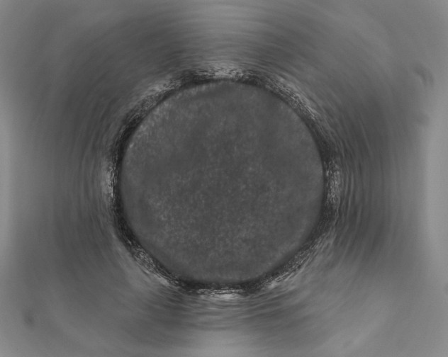 X0000112060643200908251022