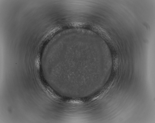 X0000112060644200908251022