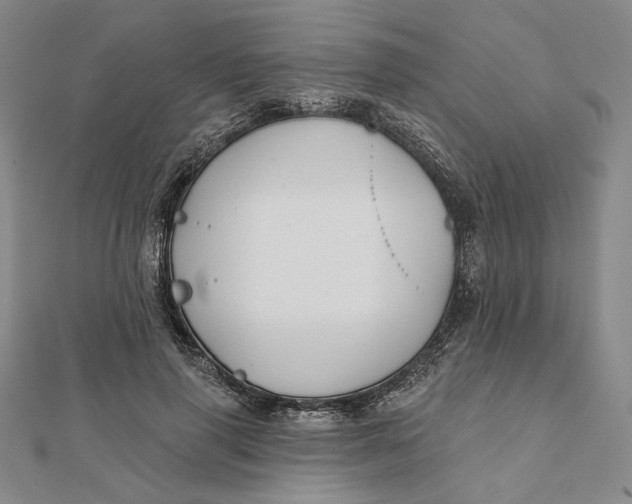 X0000112060645200908251022