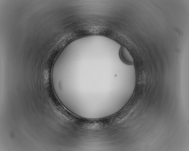 X0000112060646200908251022