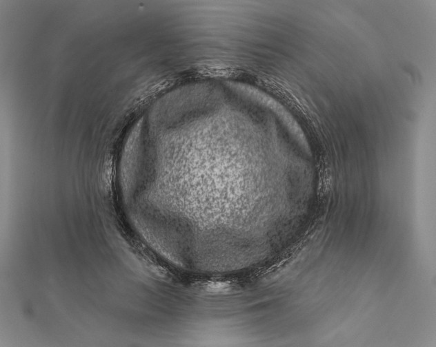 X0000112060647200908251022