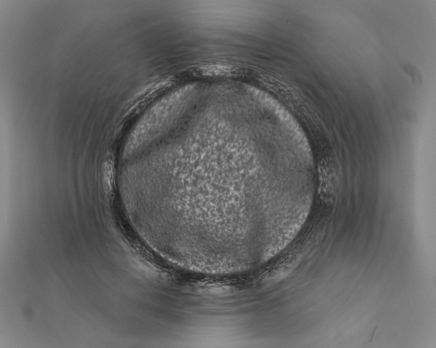 X0000112060648200908251022