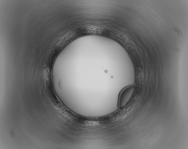 X0000112060649200908251022